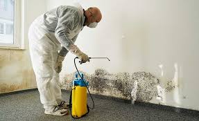 Best Industrial Mold Remediation  in Apison, TN